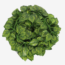 Load image into Gallery viewer, New 2m Artificial leaf Ivy vine For Home
