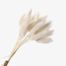 Load image into Gallery viewer, Grass Phragmites Artificial Plants Wedding
