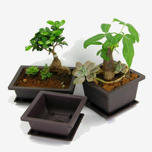 Load image into Gallery viewer, Plant Pot Plastic Succulents Flower Pot Balcony
