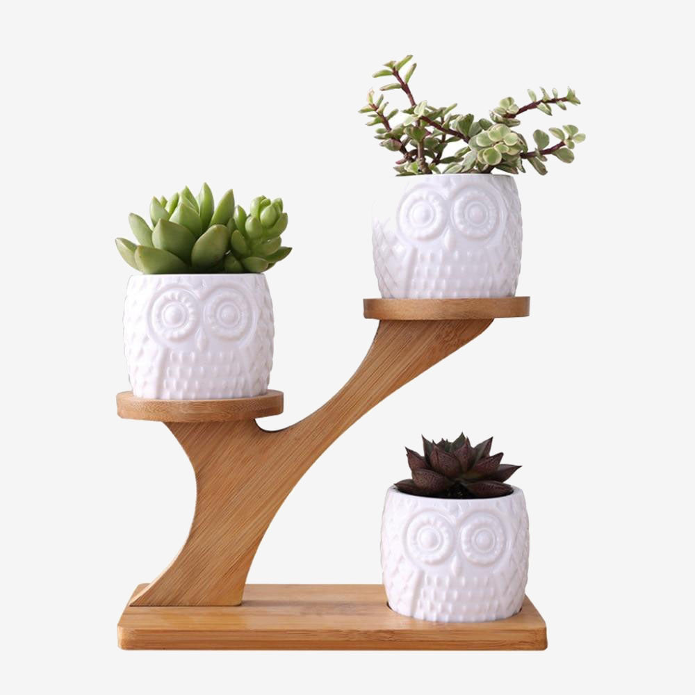 Cute Owl Pot Succulent Planter Shelf Tray Kit Decor