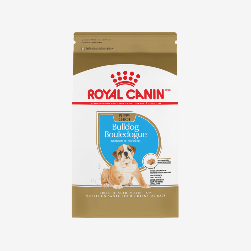 Royal Canin French Bulldog Puppy