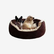 Load image into Gallery viewer, Nobu Sofa Bed
