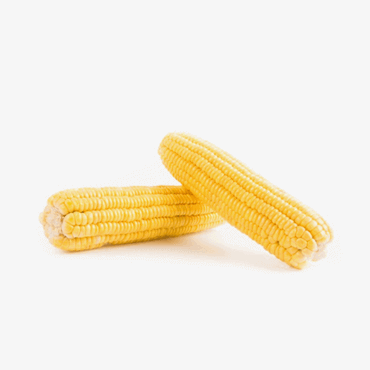 Sweet corn