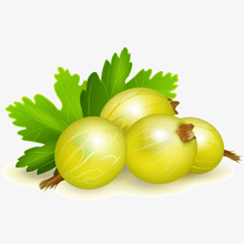 Carica l&#39;immagine nel visualizzatore di Gallery, Berry clusters in realistic
